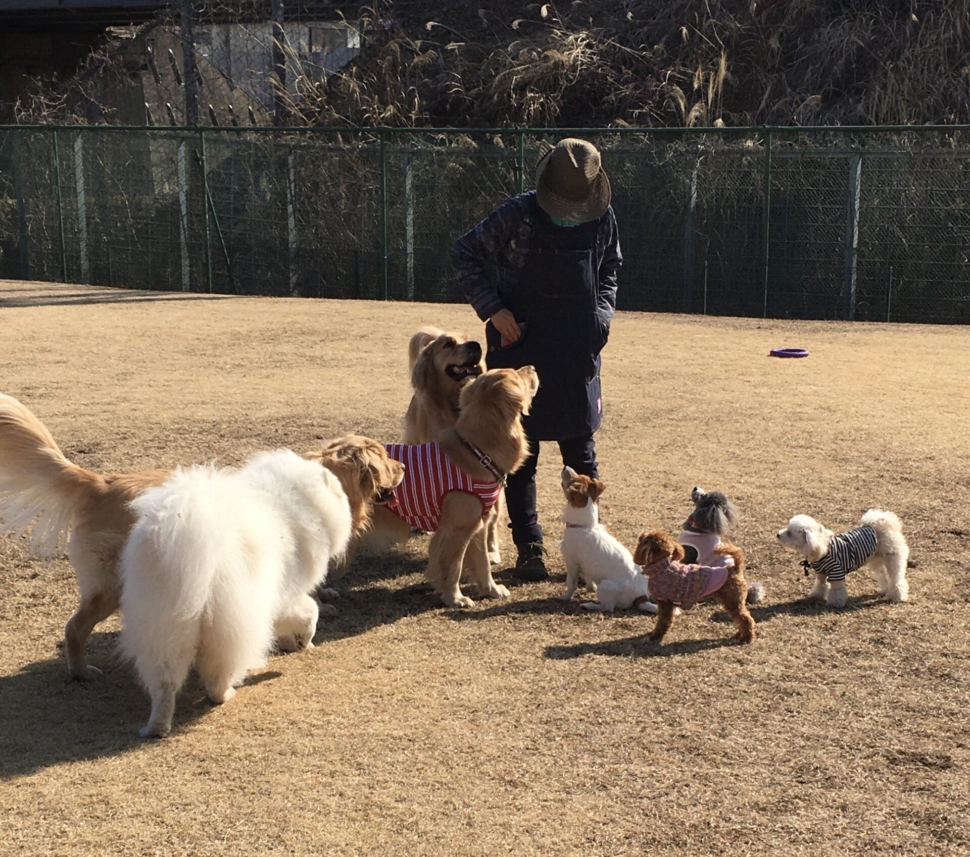 ファイル 8253-4.jpeg