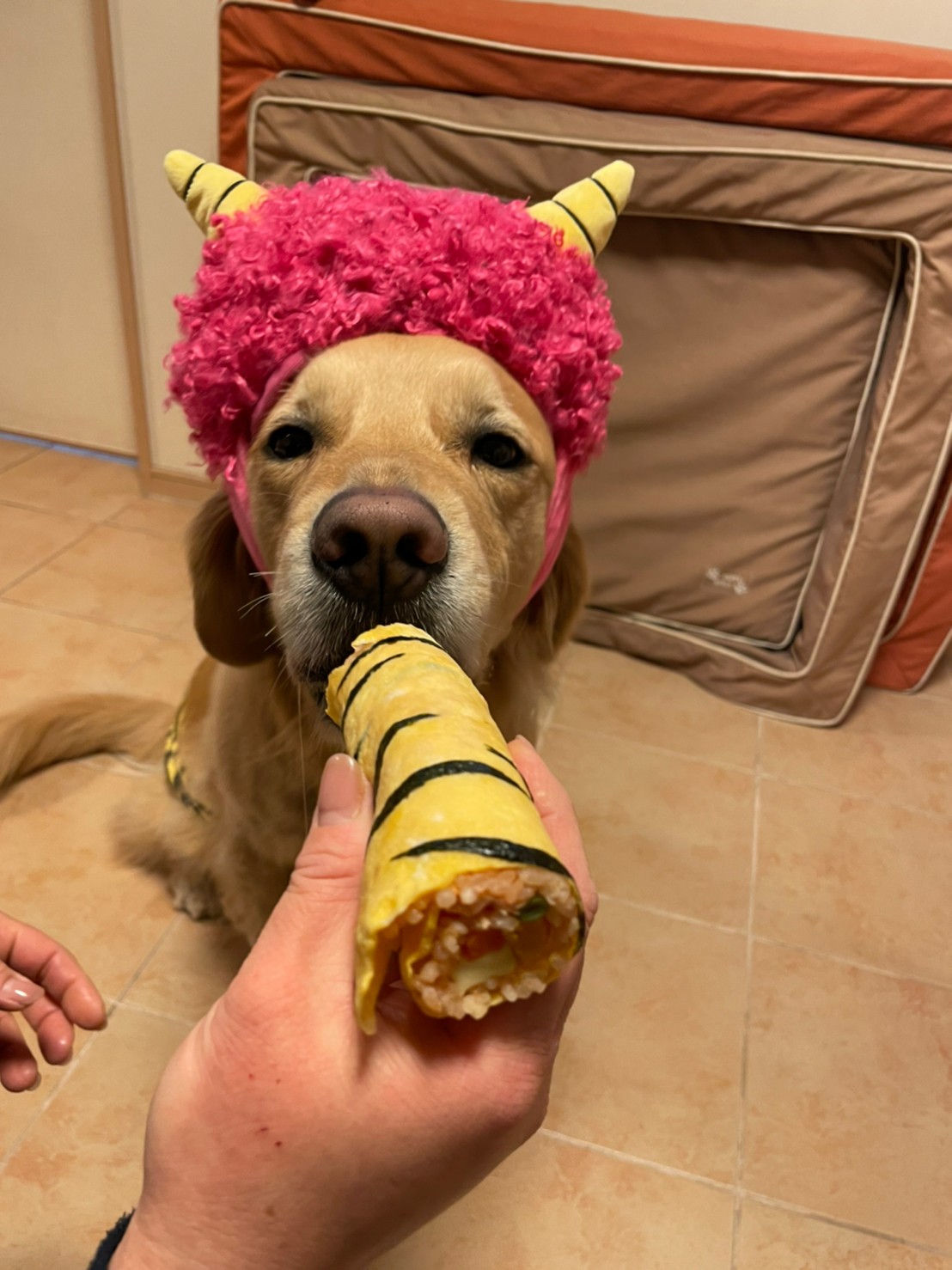 ファイル 8254-4.jpg