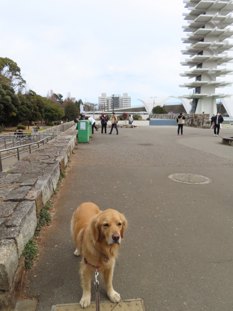 ファイル 8255-4.jpg