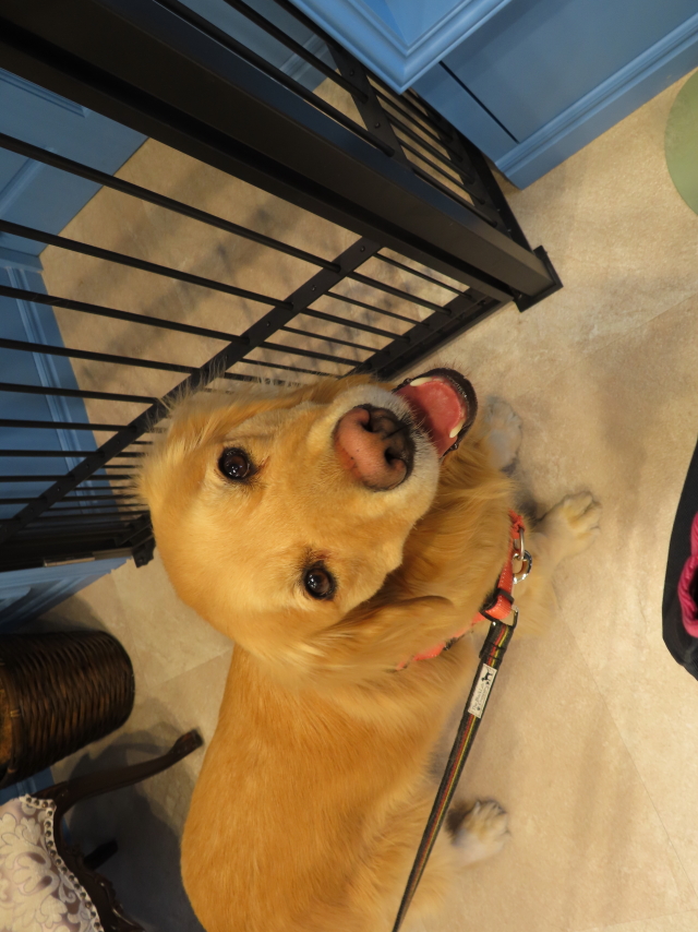 ファイル 8257-1.jpg