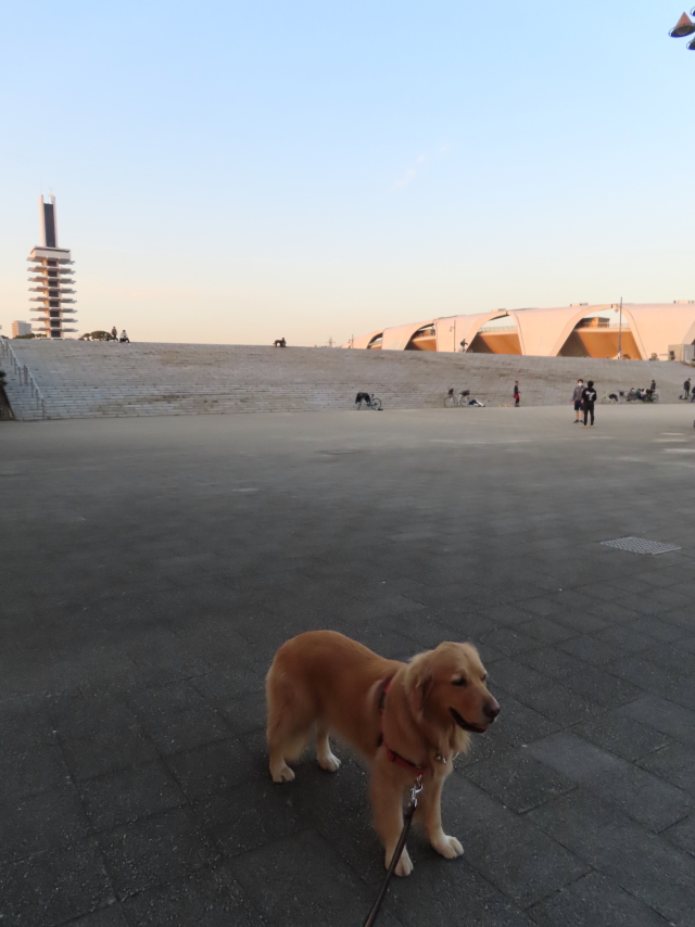 ファイル 8258-2.jpg