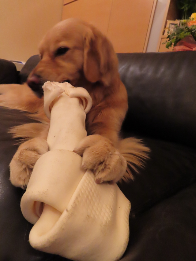 ファイル 8259-1.jpg