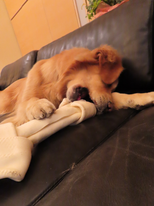 ファイル 8259-2.jpg