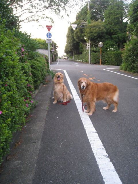 ファイル 826-1.jpg