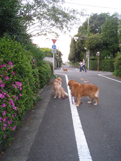 ファイル 826-2.jpg