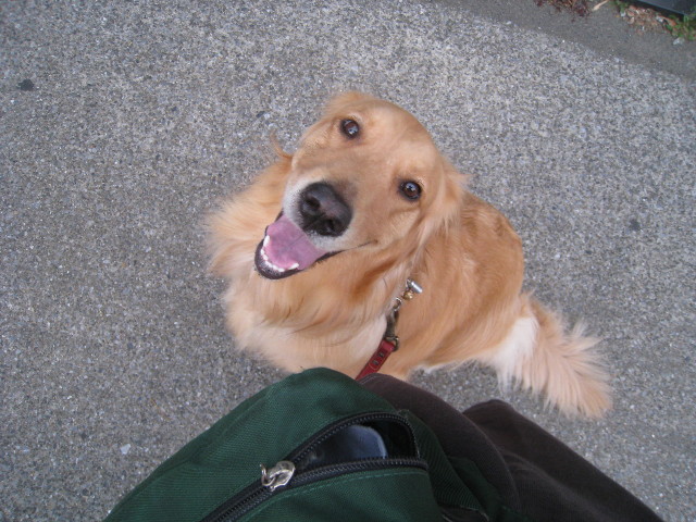 ファイル 826-3.jpg