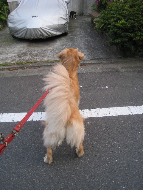 ファイル 826-4.jpg