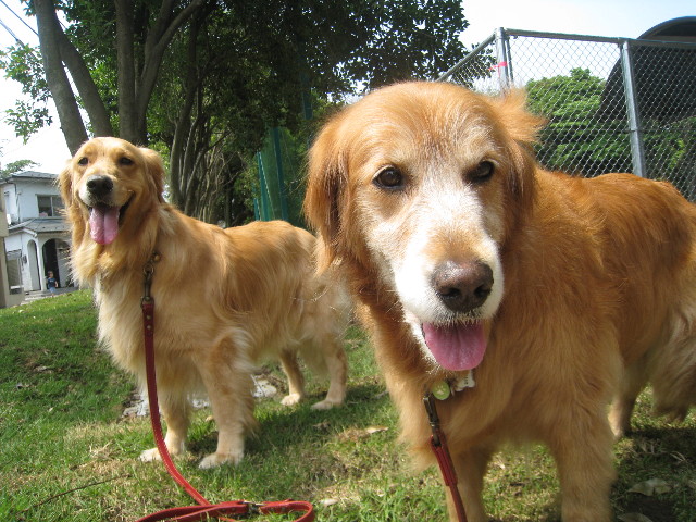 ファイル 826-5.jpg