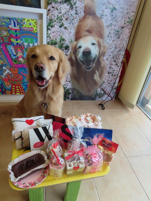 ファイル 8261-2.jpg