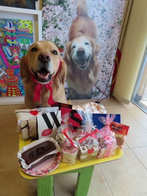 ファイル 8261-3.jpg