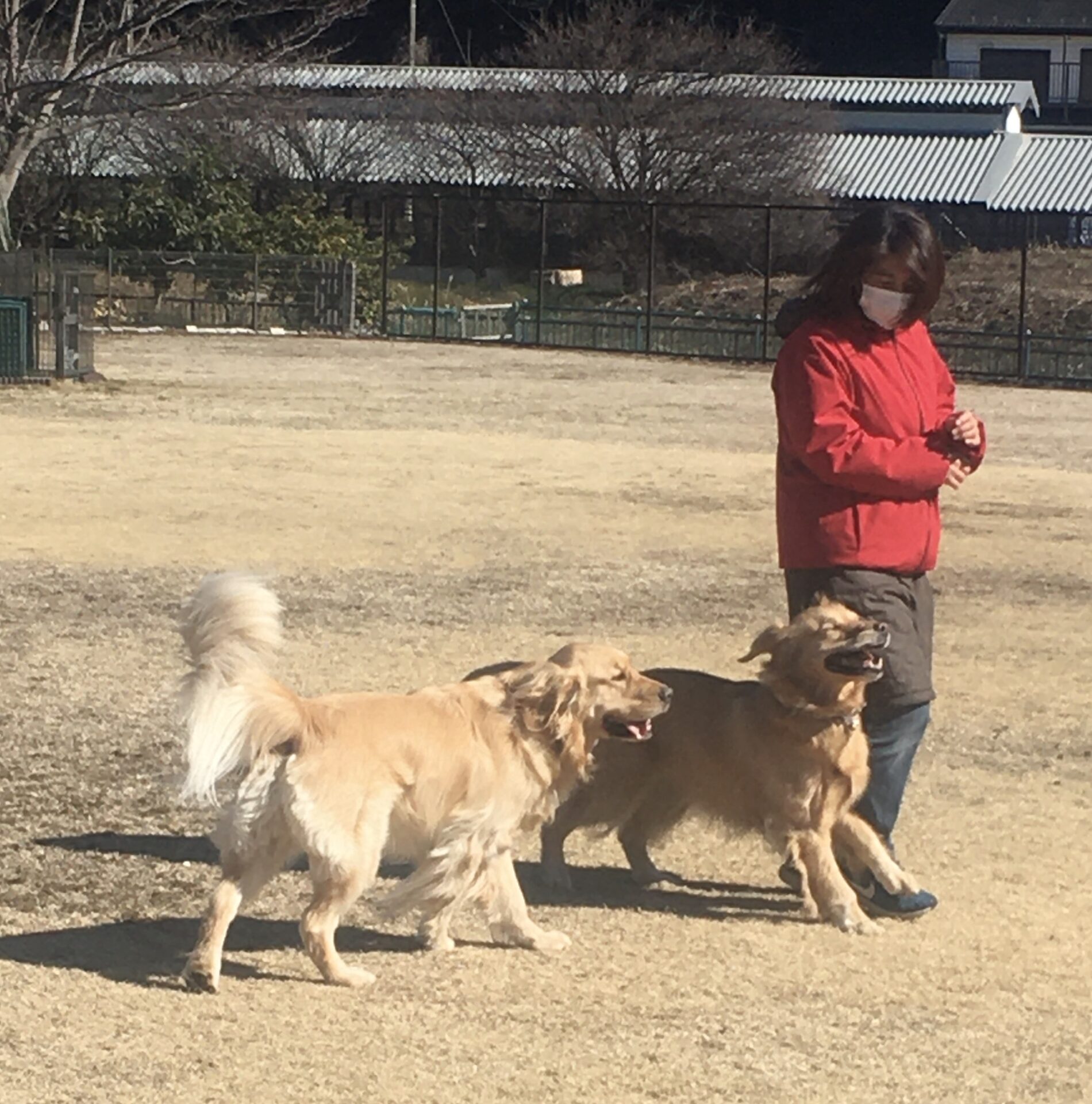 ファイル 8262-4.jpeg