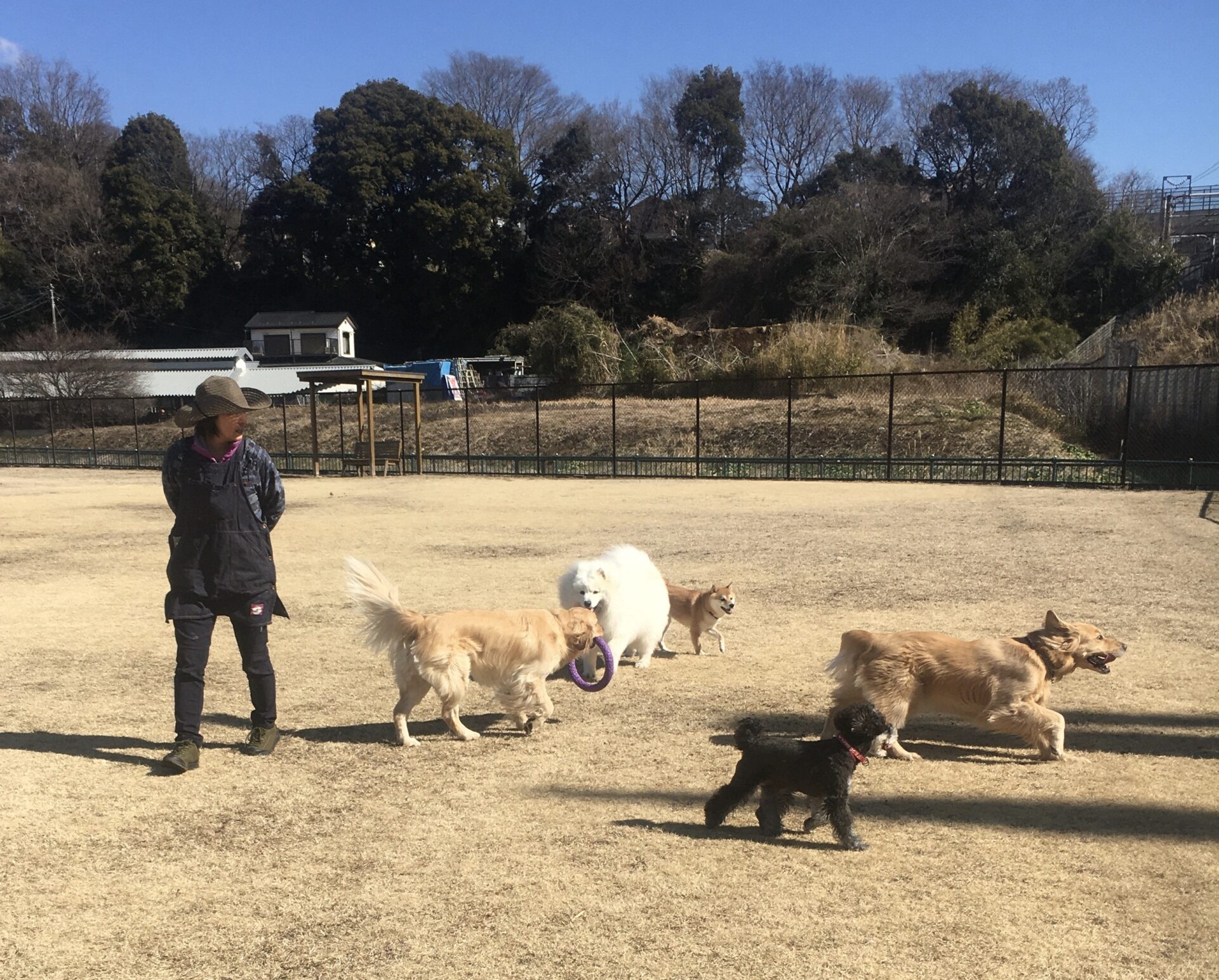 ファイル 8262-5.jpeg