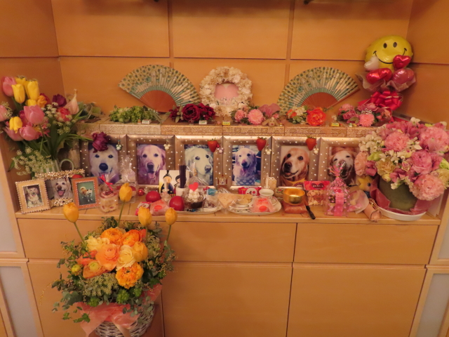 ファイル 8263-4.jpg