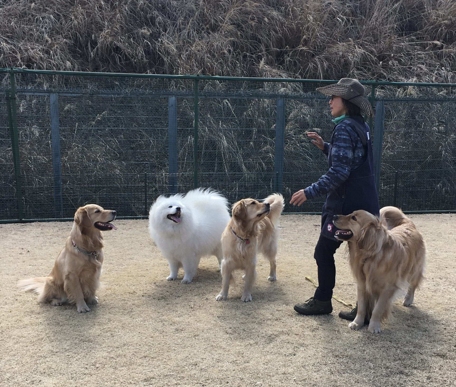 ファイル 8265-1.jpeg