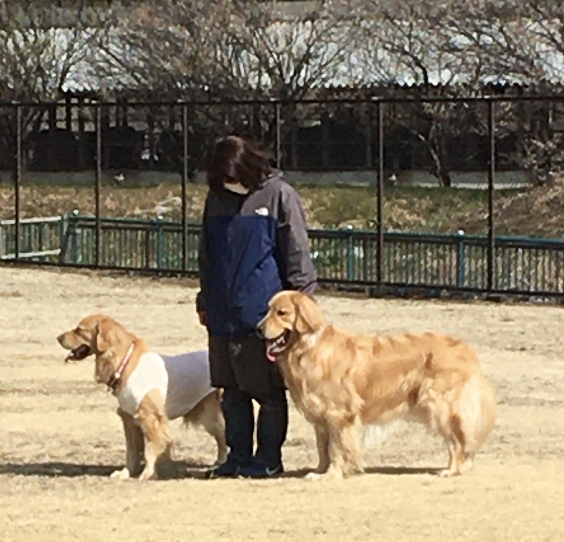 ファイル 8265-3.jpeg