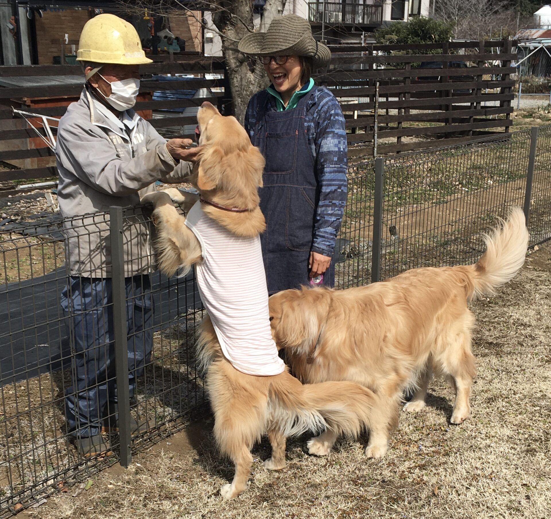 ファイル 8265-5.jpeg