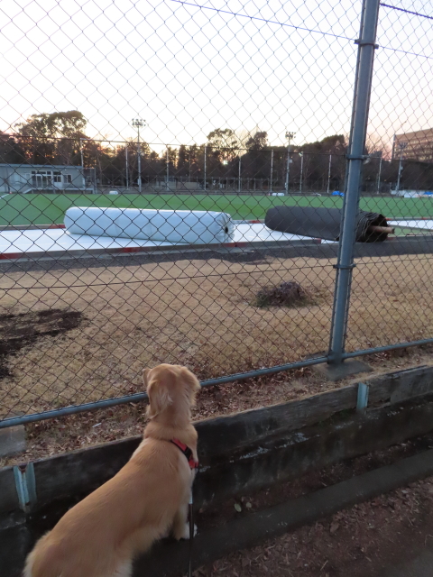 ファイル 8266-2.jpg