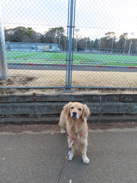 ファイル 8266-3.jpg