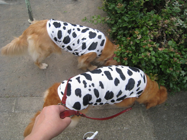 ファイル 827-2.jpg