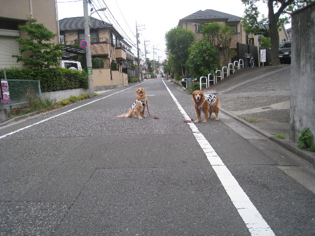 ファイル 827-3.jpg