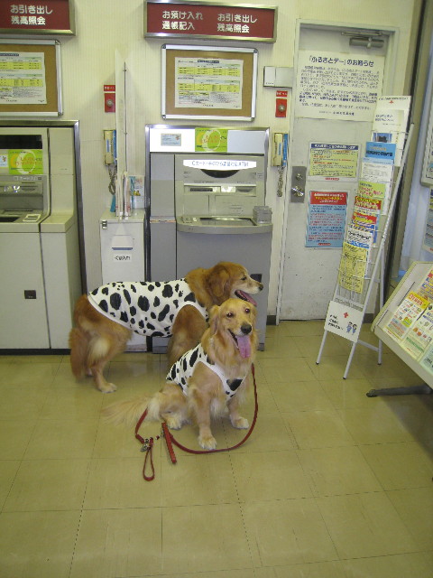 ファイル 827-4.jpg