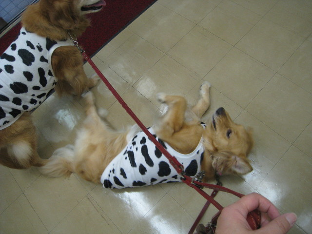 ファイル 827-5.jpg