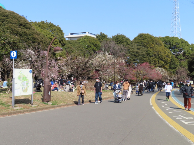 ファイル 8270-2.jpg