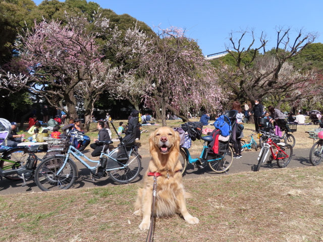 ファイル 8270-3.jpg