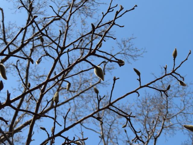 ファイル 8270-4.jpg