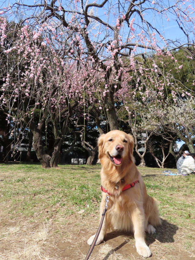 ファイル 8272-3.jpg