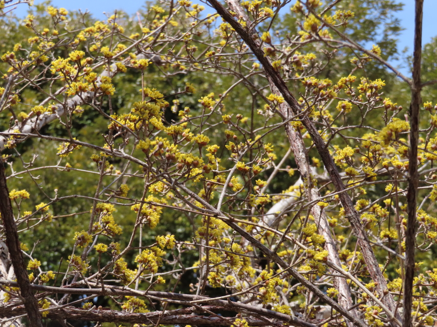 ファイル 8272-5.jpg