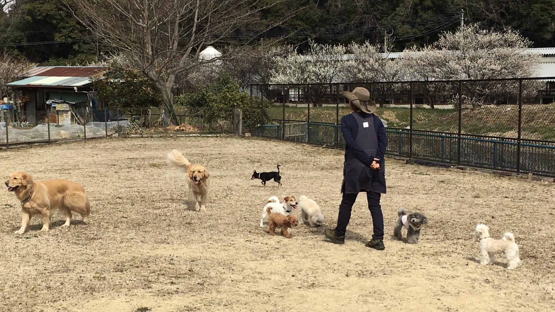 ファイル 8275-1.jpeg