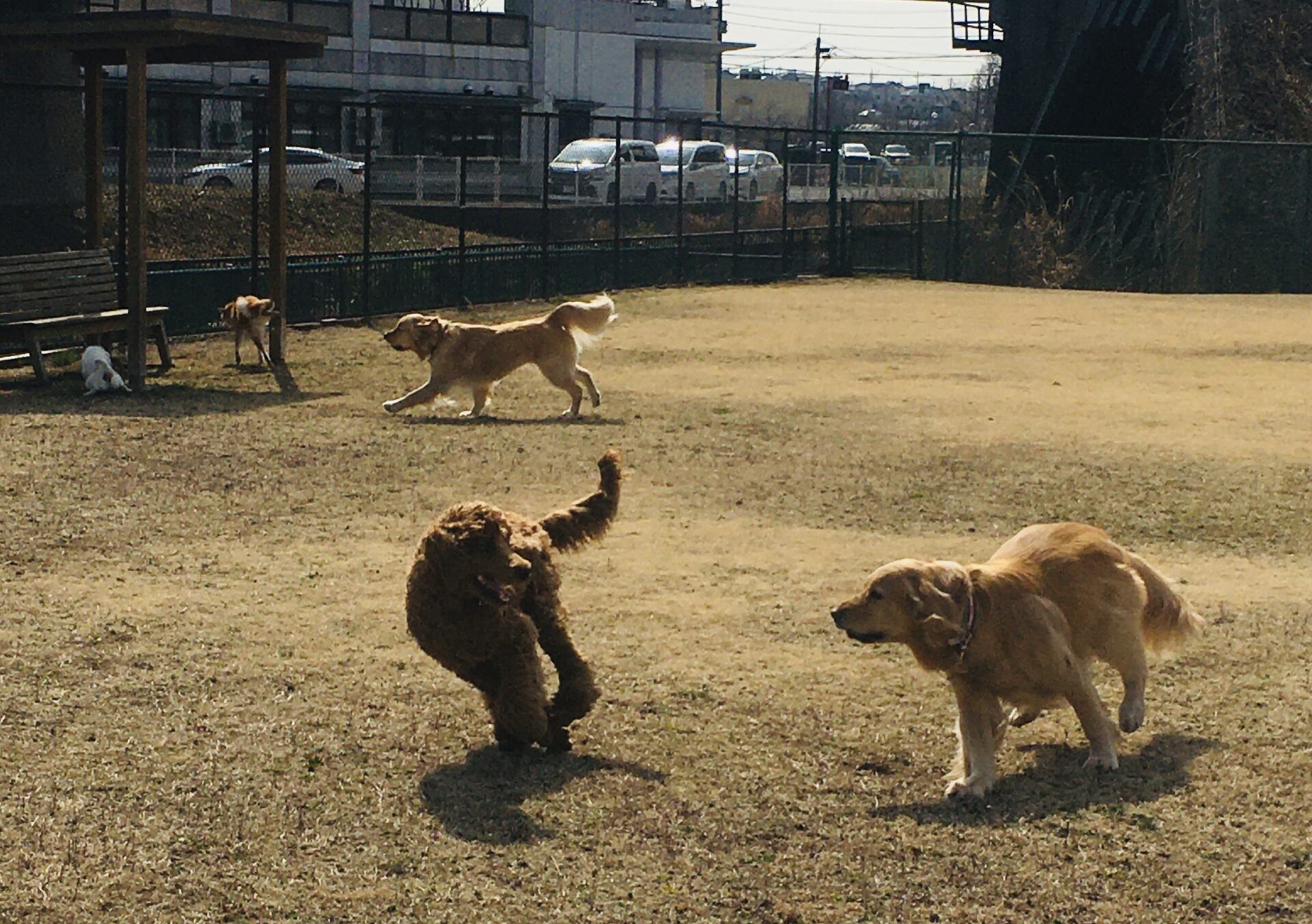 ファイル 8275-3.jpeg