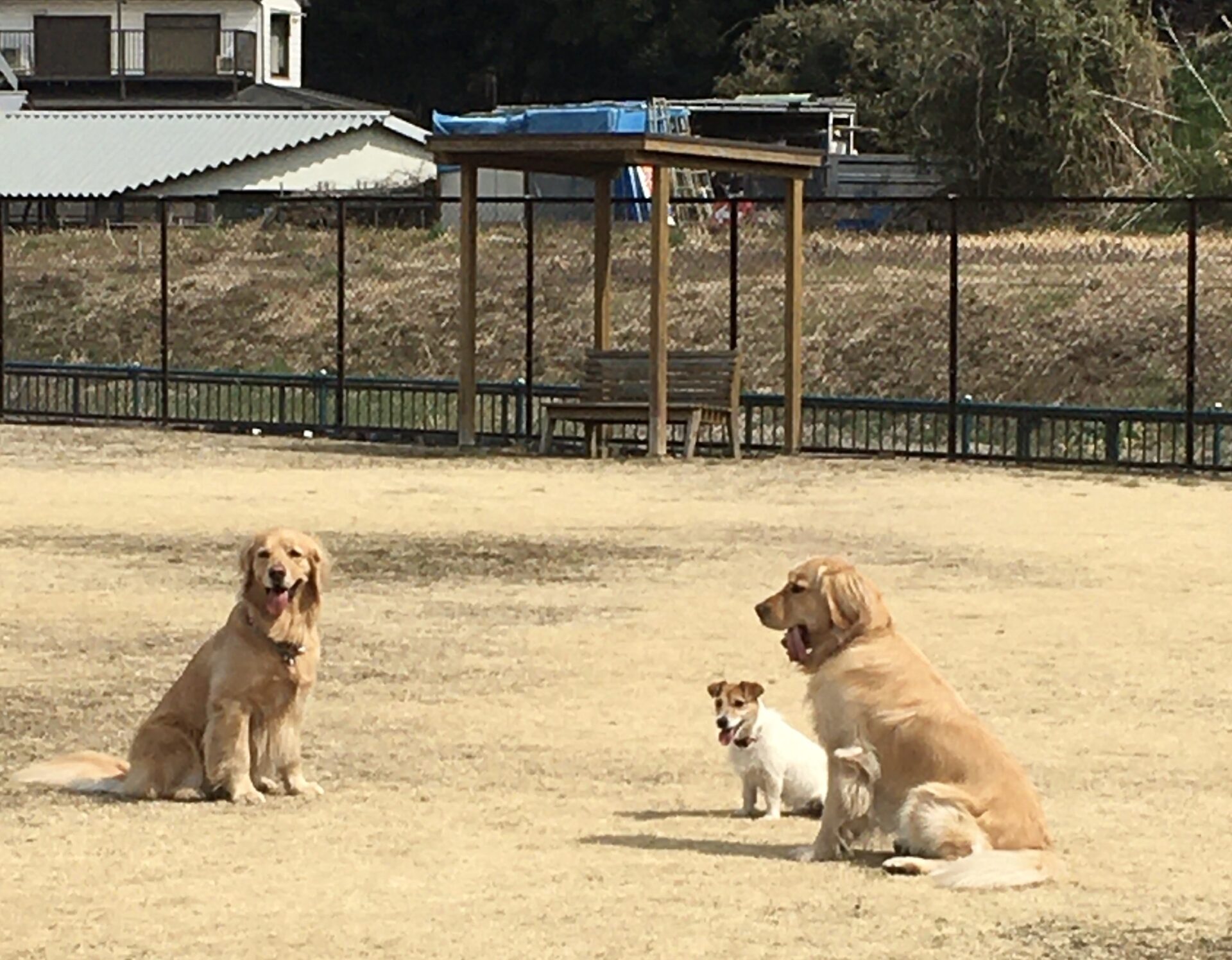 ファイル 8275-4.jpeg