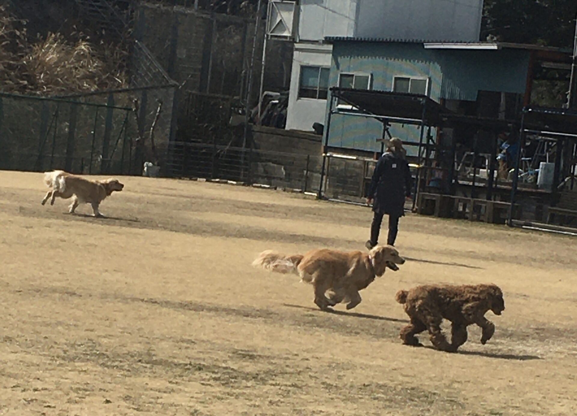 ファイル 8275-5.jpeg