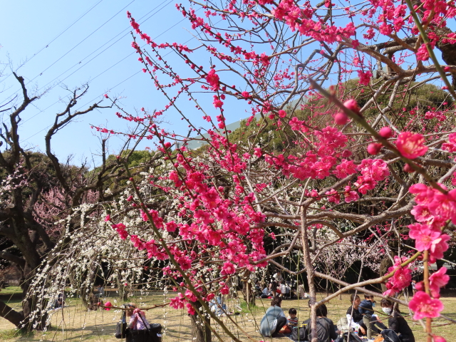 ファイル 8276-2.jpg