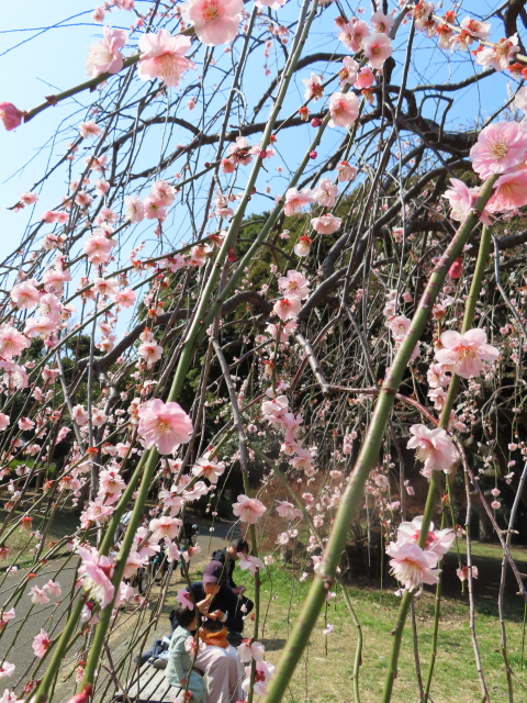 ファイル 8276-4.jpg