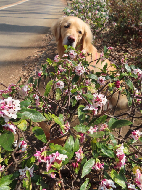 ファイル 8276-5.jpg