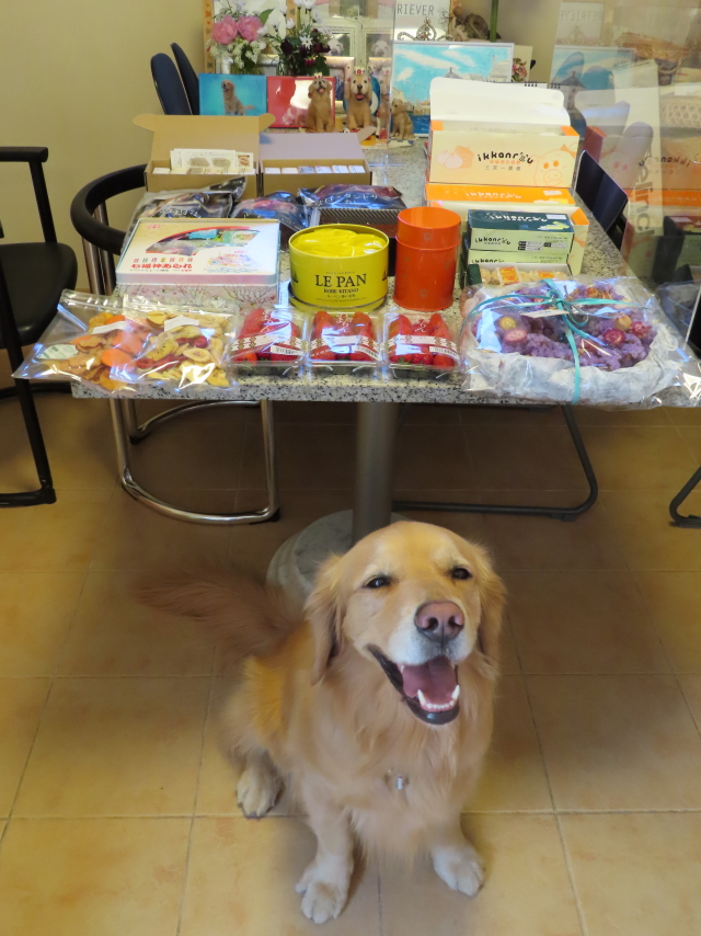 ファイル 8277-1.jpg