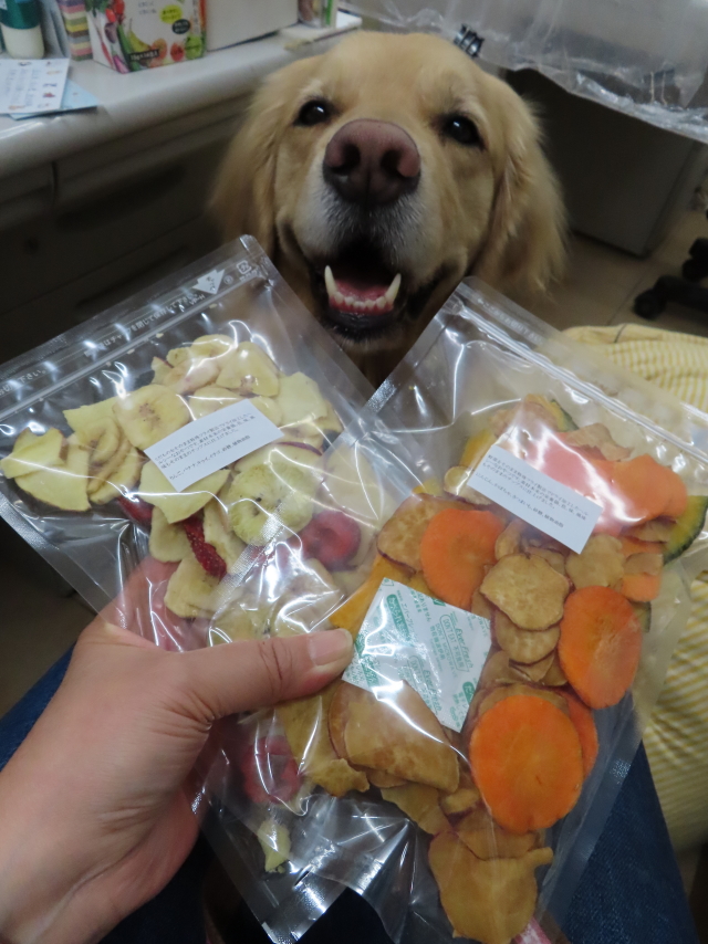 ファイル 8277-2.jpg