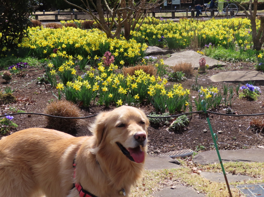 ファイル 8277-3.jpg