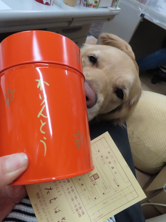 ファイル 8277-5.jpg