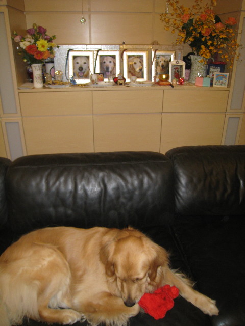 ファイル 828-5.jpg