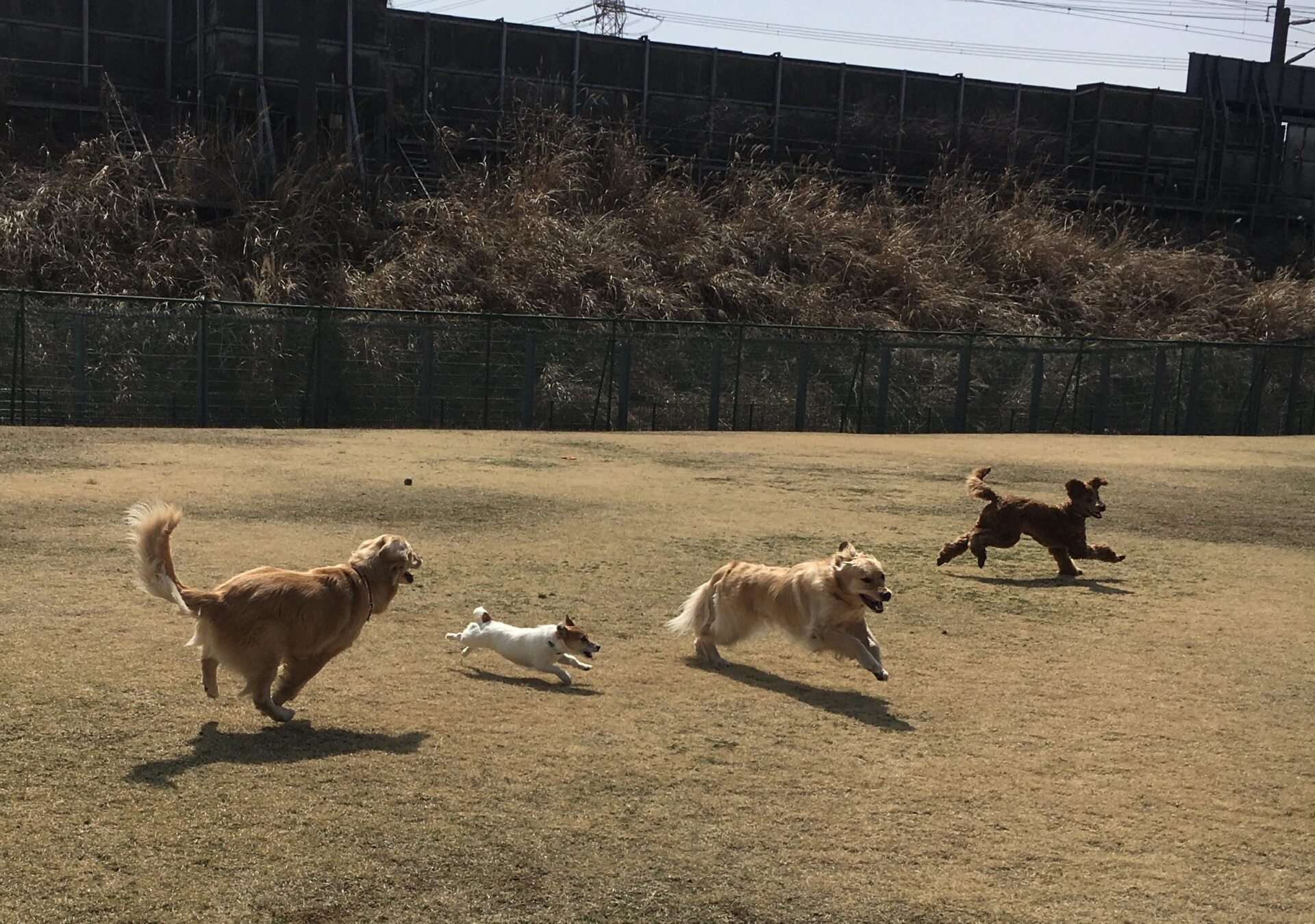 ファイル 8280-1.jpeg