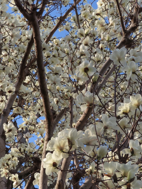 ファイル 8281-3.jpg