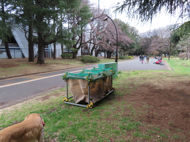 ファイル 8284-2.jpg