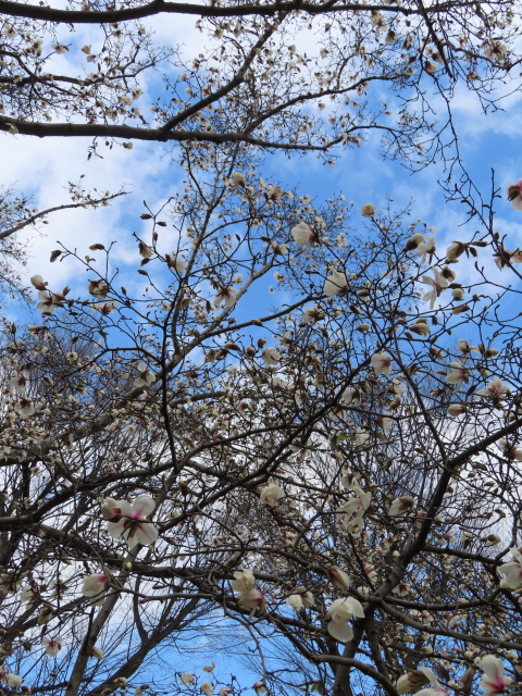 ファイル 8284-4.jpg