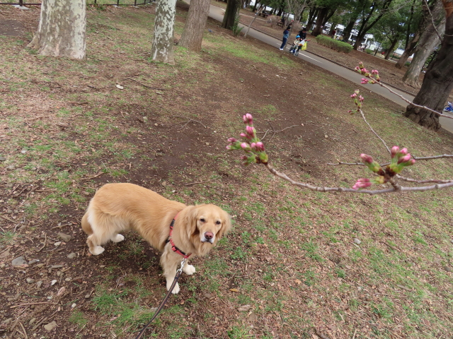 ファイル 8284-5.jpg