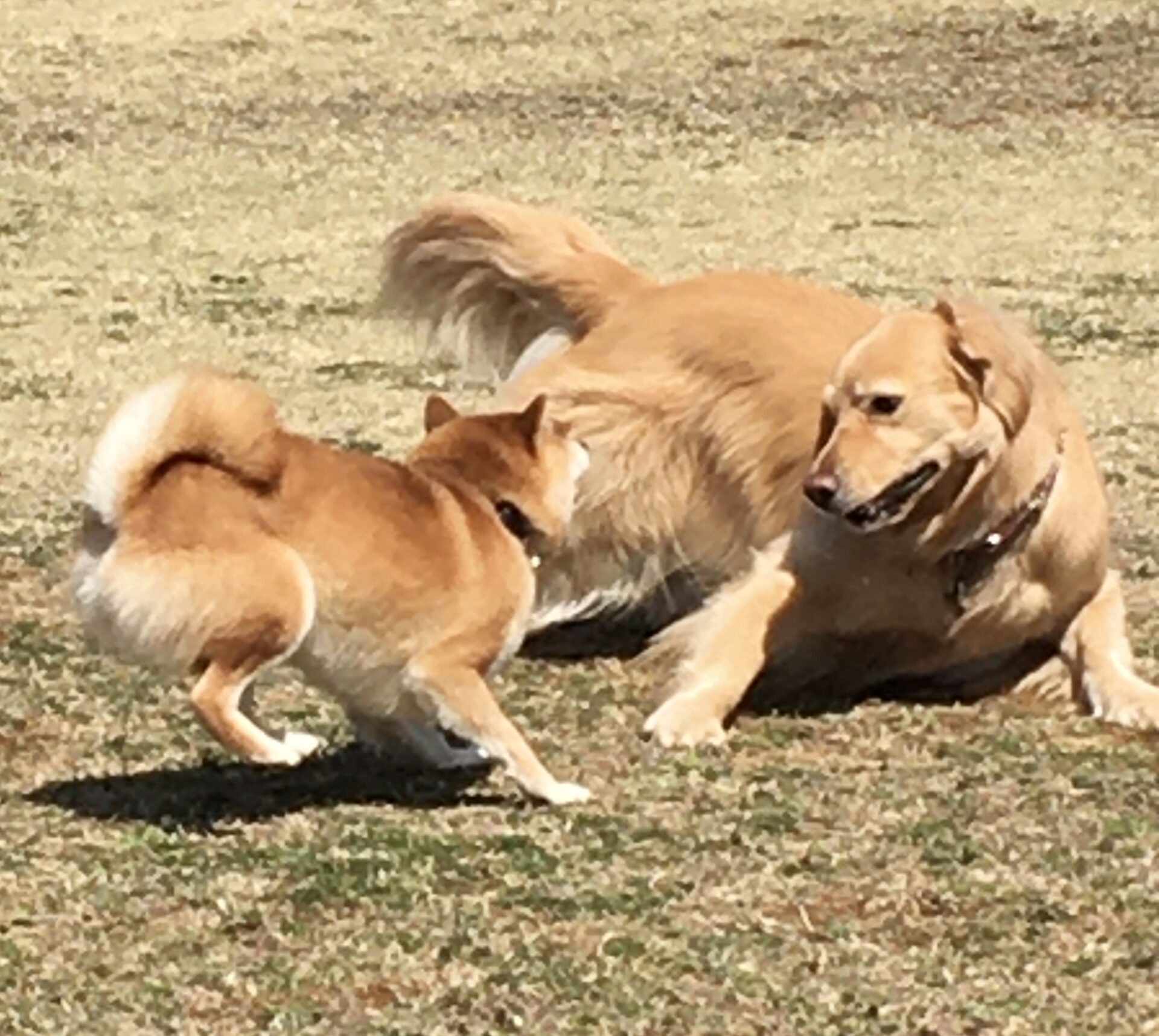 ファイル 8287-3.jpeg