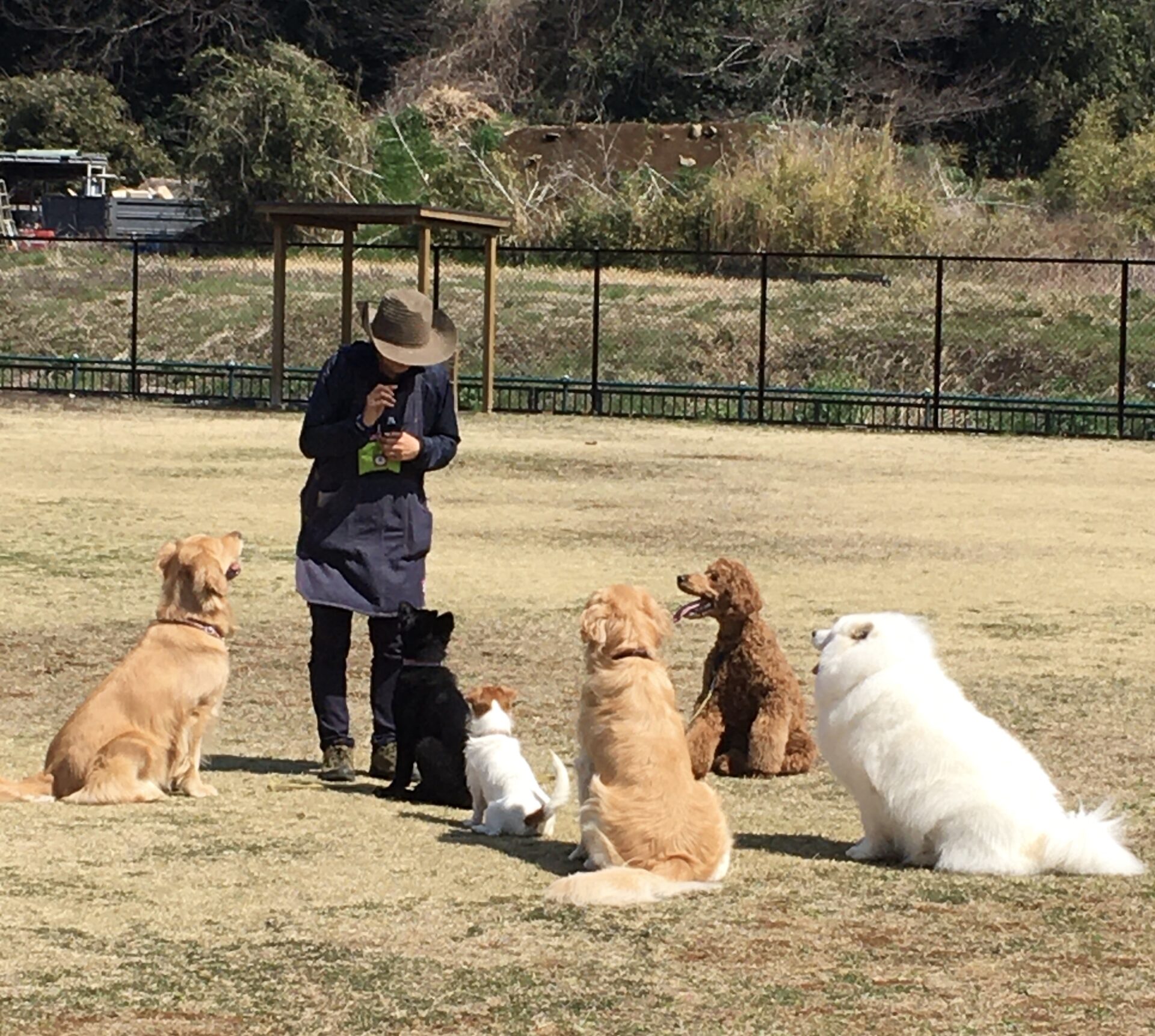 ファイル 8287-4.jpeg